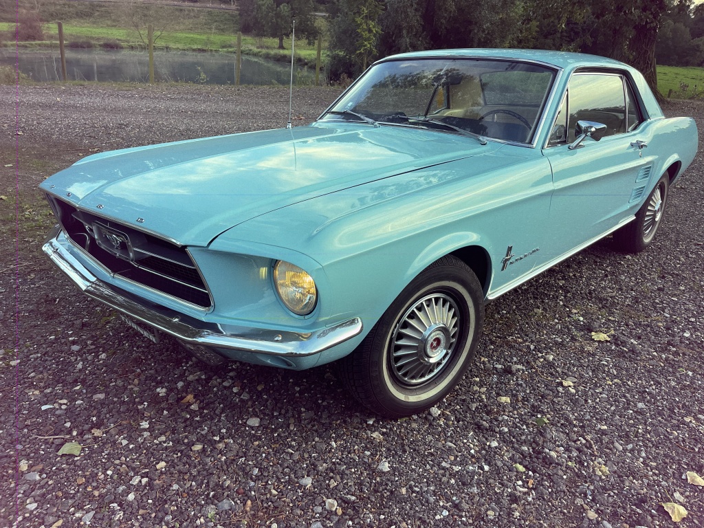 35439873 0.jpg
