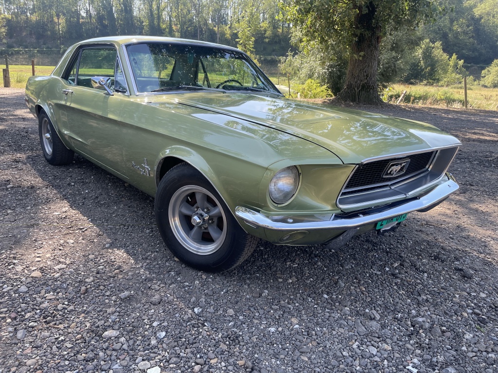 45128443 0.jpg