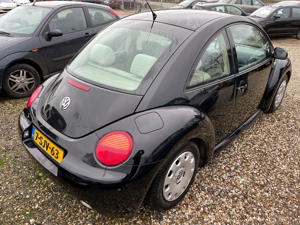 45193380-2.jpg