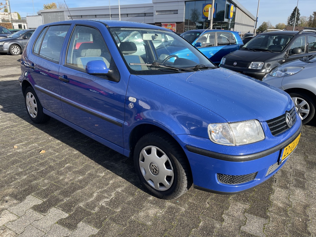 53313202 0.jpg