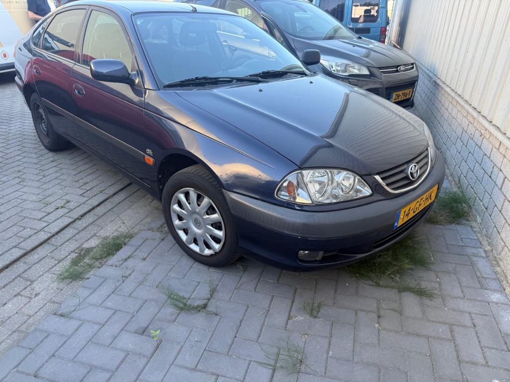 55906045