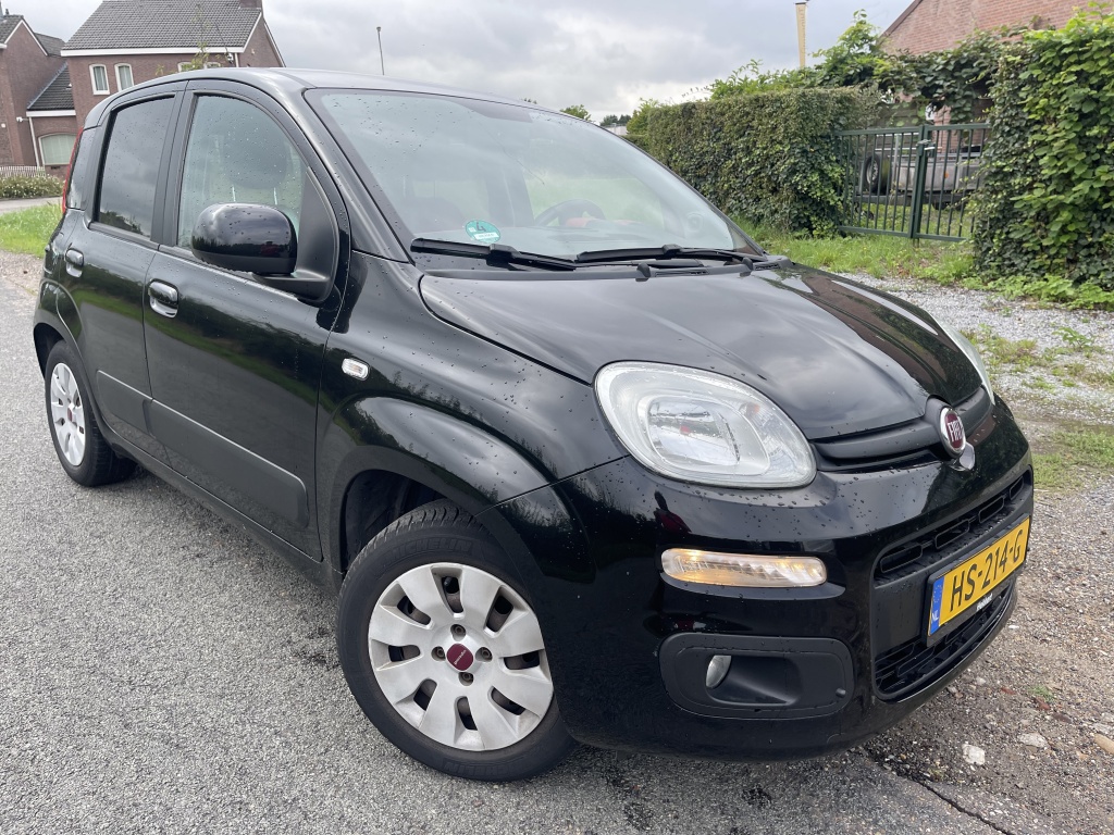 56541159 0.jpg